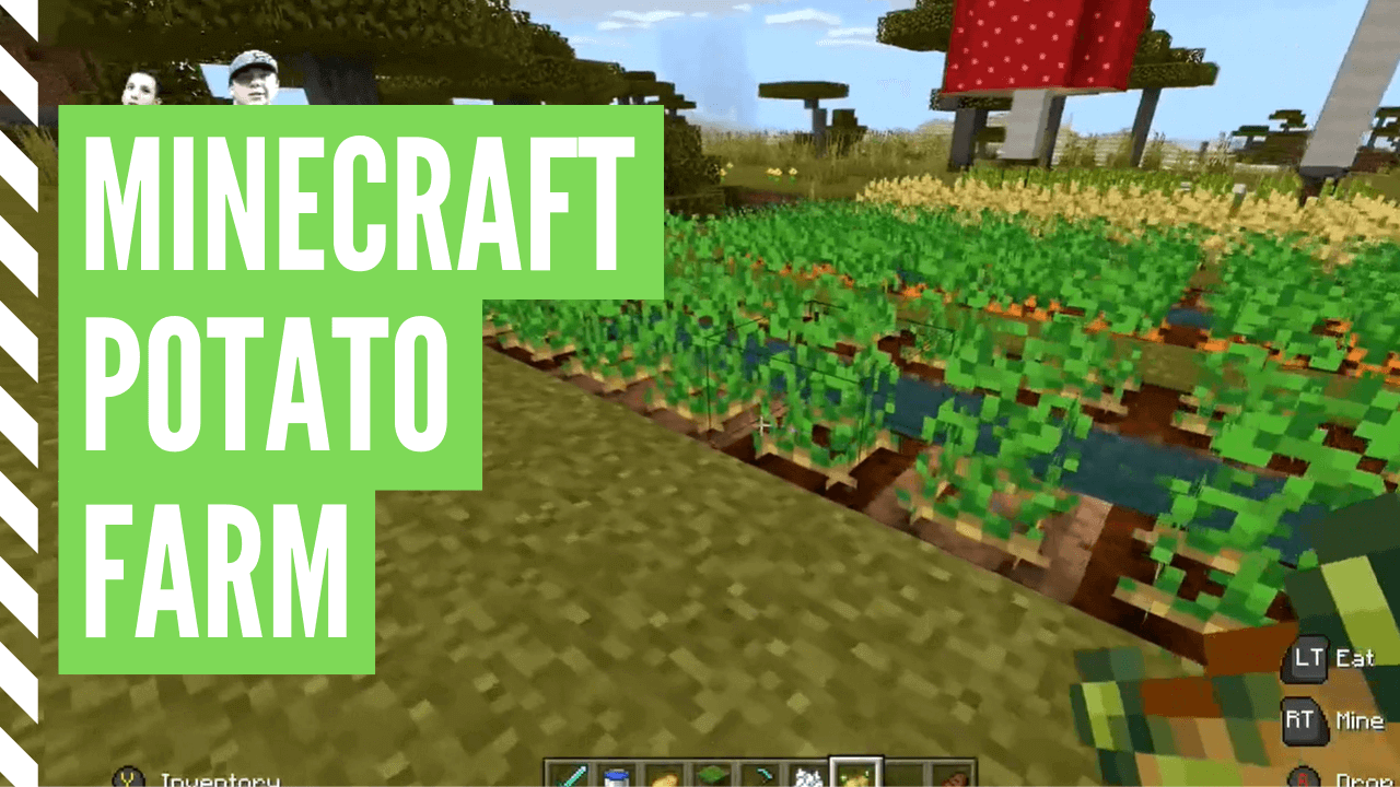 How Get Potatoes In Minecraft Farm)