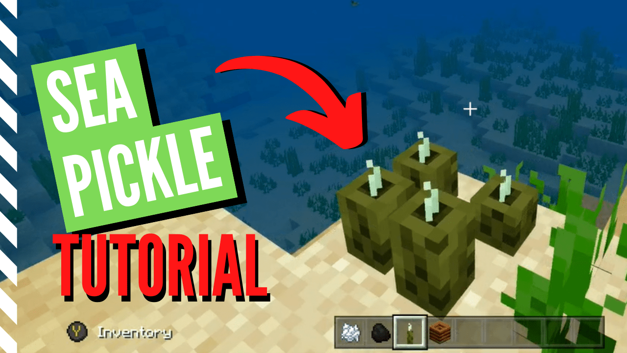 How to Get Sea Pickles in Minecraft (Step-by-Step)