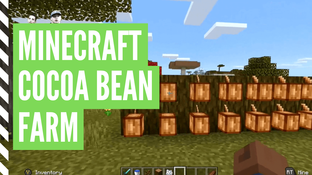 How To Grow Cocoa Beans In Minecraft (Minecraft Cocoa