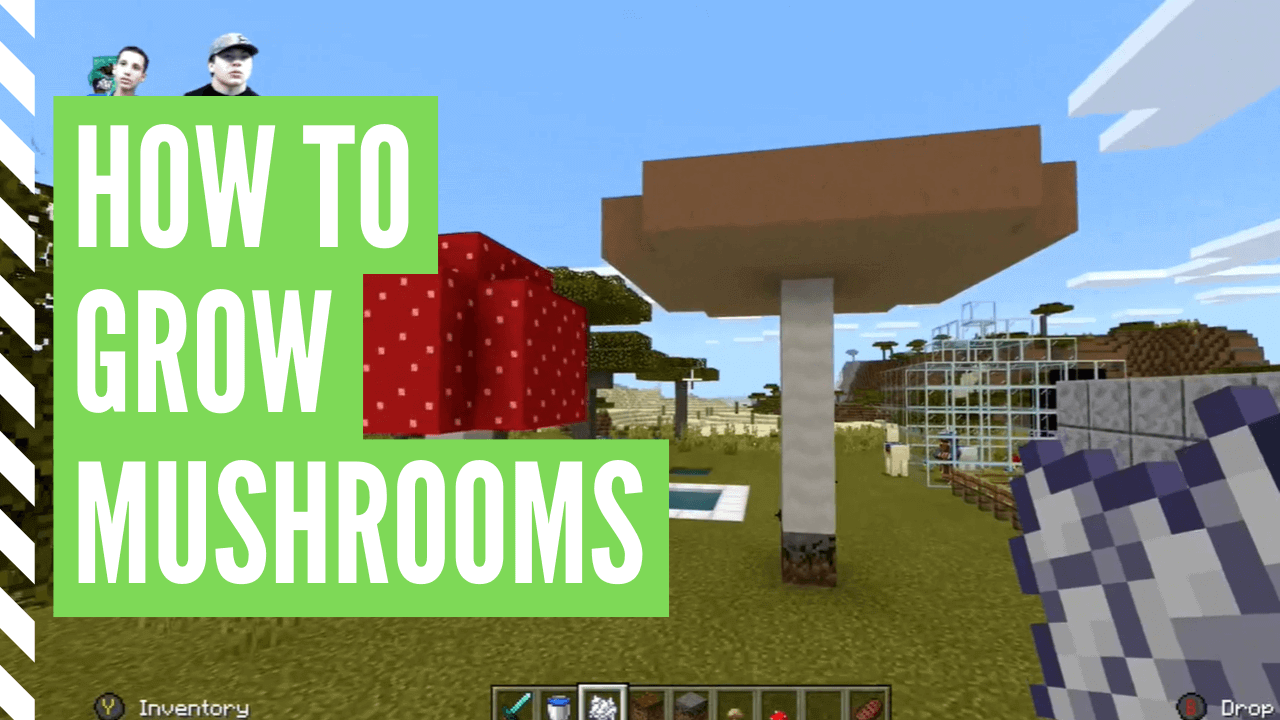 How To Grow Mushrooms In Minecraft Bedrock