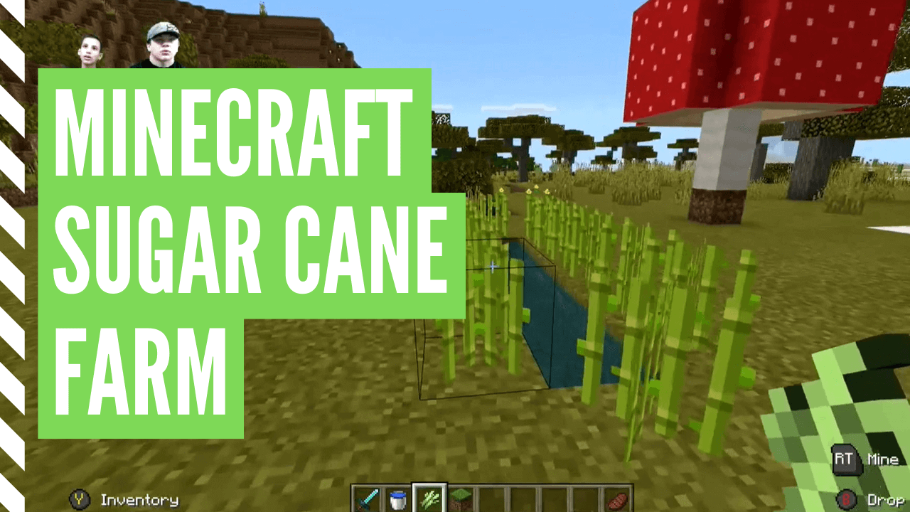 How To Grow Sugar Cane Minecraft Fast