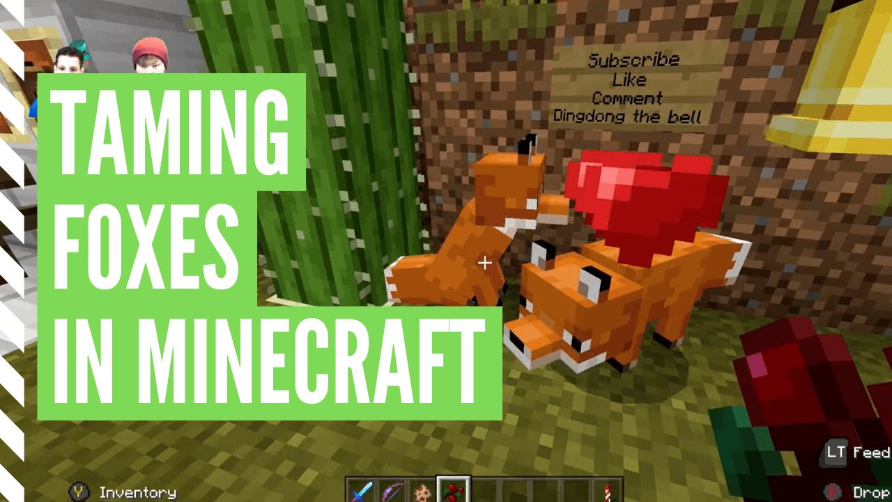 How To Tame A Fox In Minecraft And Breed Foxes Too
