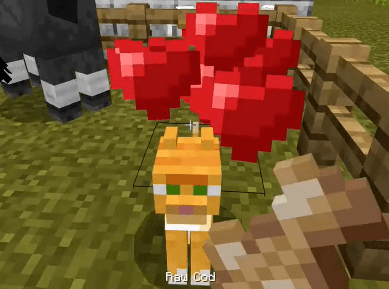 What To Feed Parrots On Minecraft