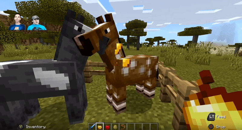 Feed the Minecraft horse