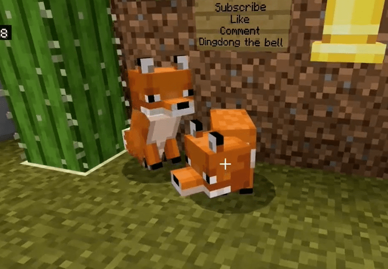 Find Two Foxes To Breed