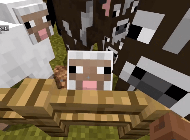 How to breed sheep in Minecraft
