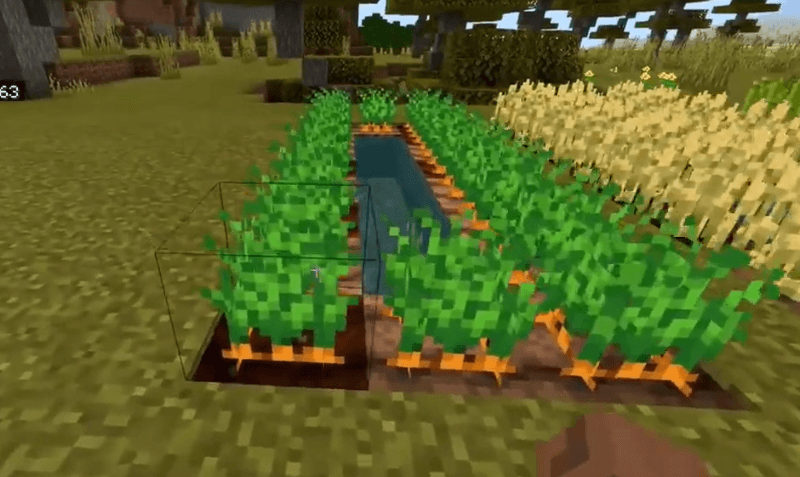 Minecraft Carrot Farm