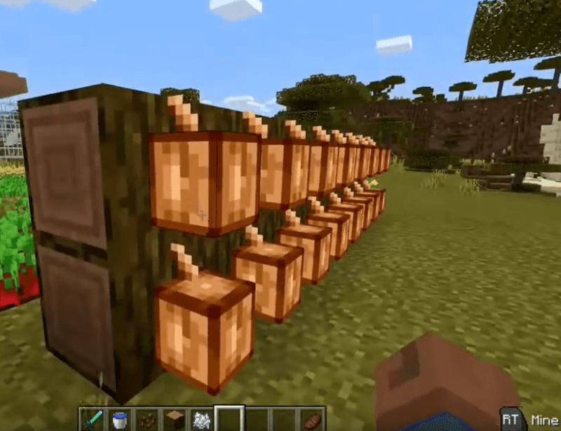 Minecraft cocoa bean farm