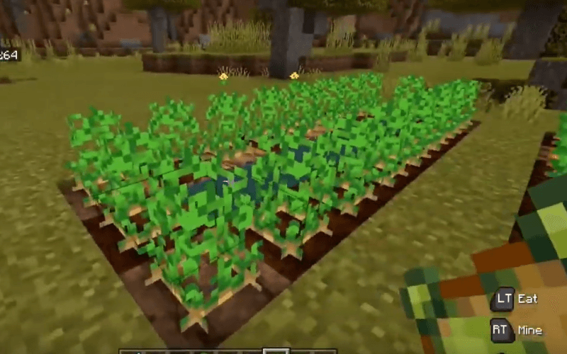 Minecraft Potato Farm
