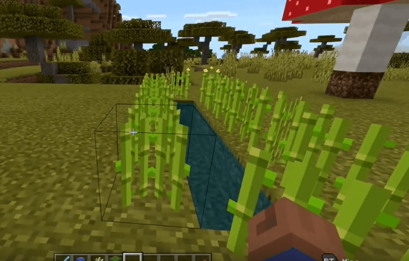 Minecraft sugar cane farm