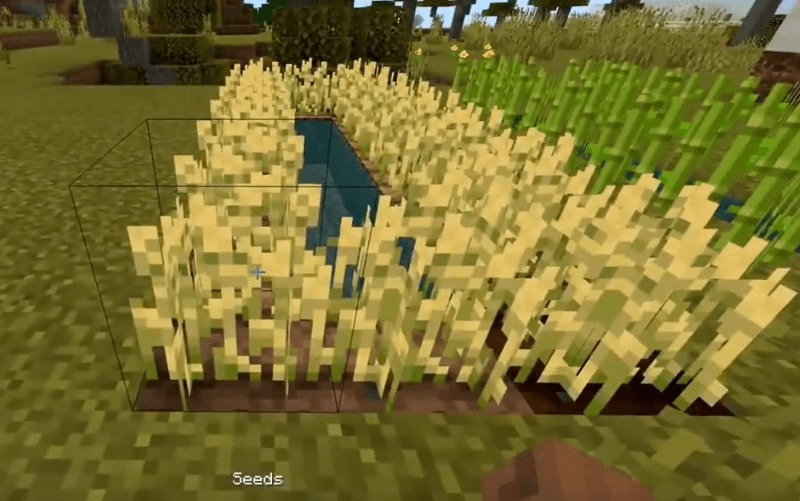 Minecraft wheat farm