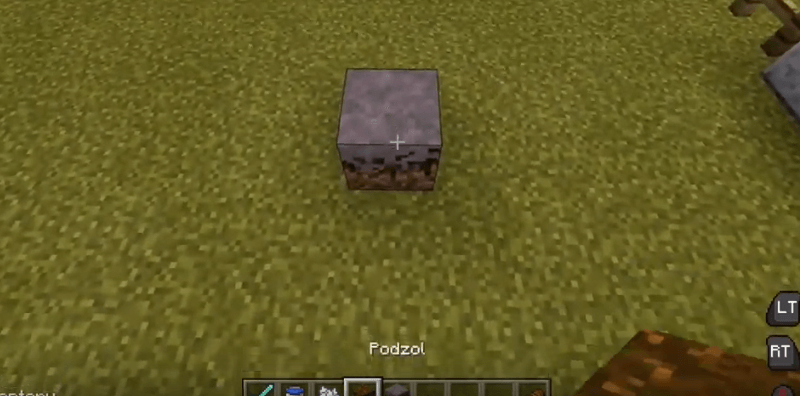 Place Down The Podzol Or Mycelium