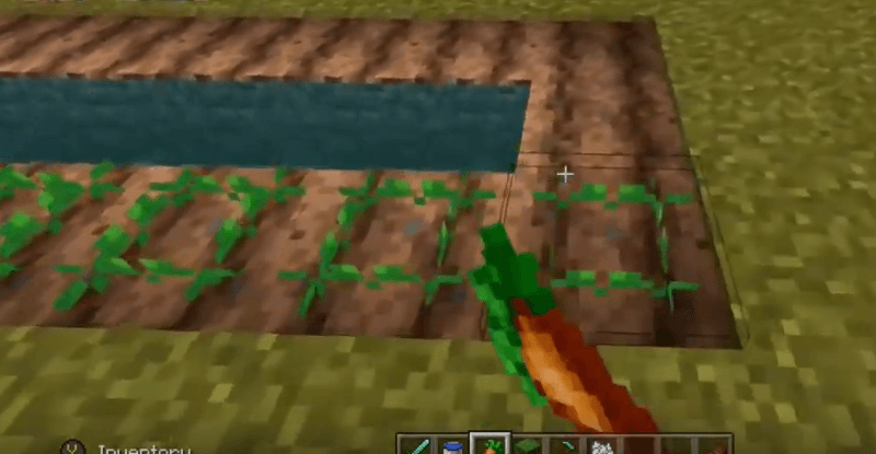 How Get Carrots In Minecraft (Minecraft Farm)