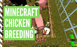 How To Make Chickens Breed In Minecraft