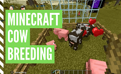 How To Make Cows Breed In Minecraft