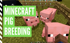 How To Breed Pigs In Minecraft