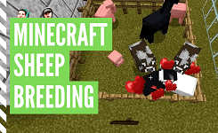 How To Make Sheep Breed In Minecraft