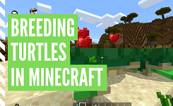 How To Breed Sea Turtles In Minecraft
