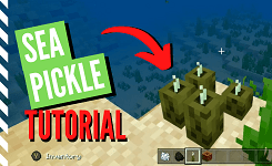 How to Get Sea Pickles in Minecraft