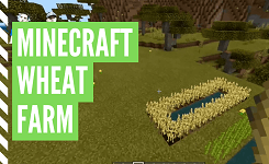 How To Grow Wheat In Minecraft (Minecraft Wheat Farm)