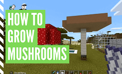 How To Grow Mushrooms In Minecraft