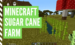 How To Plant A Minecraft Sugar Cane Farm