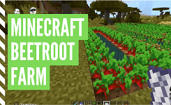 How To Plant A Minecraft Beetroot Farm