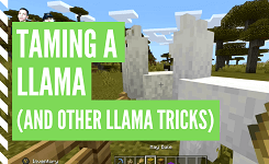 How To Tame & Ride A Llama In Minecraft